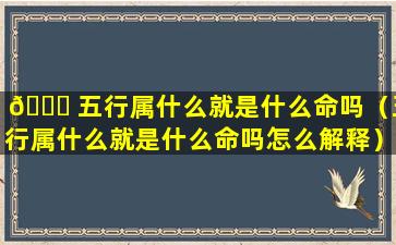 🐛 五行属什么就是什么命吗（五行属什么就是什么命吗怎么解释）